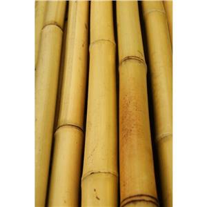 Tyczka Bambusowa 90cm fi 12-14mm
