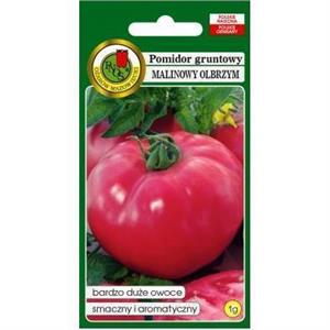 Pomidor Gruntowy Malinowy Olbrzym 1G Standard PNOS