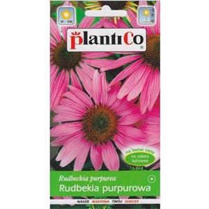 Rudbekia Purpurowa 0,5g Plantico